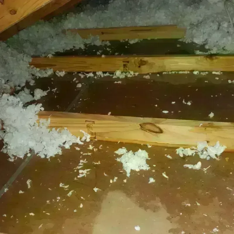 Attic Water Damage in Trucksville, PA