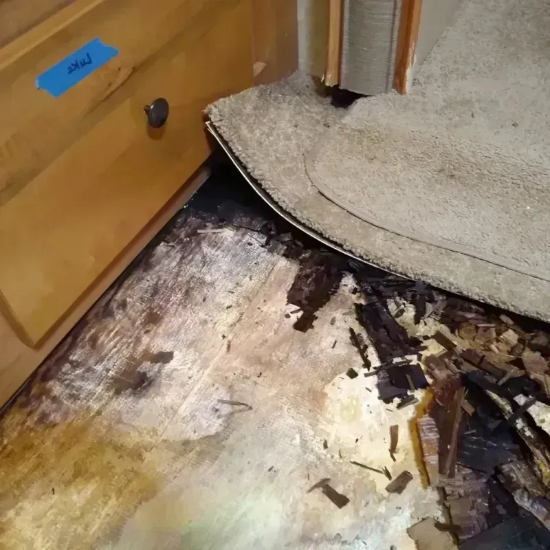 Wood Floor Water Damage in Trucksville, PA